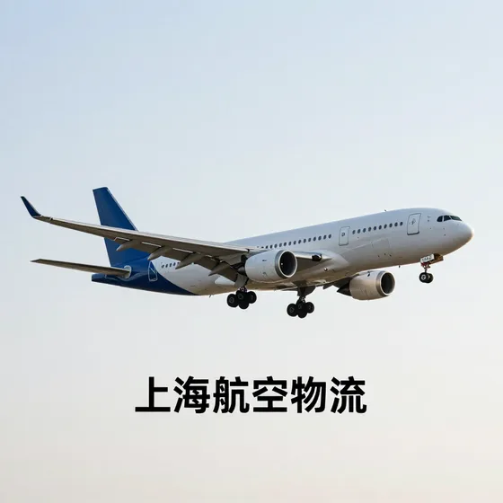 2026年上海航空物流行情解读